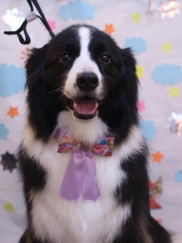 20240503ウィルくん